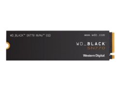 WD_BLACK SN770 WDS500G3X0E
